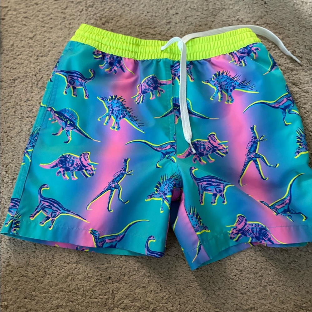 Chubbies Blue and Pink Swim Trunks Vibrant Pattern